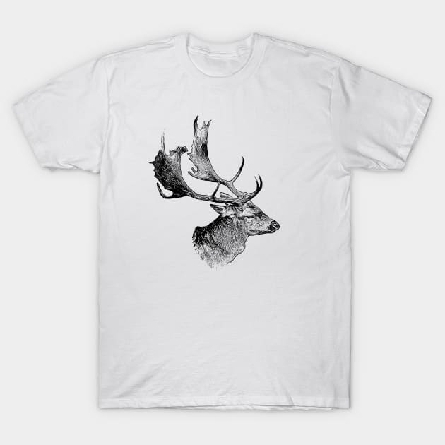 Fallow deer T-Shirt by Guardi